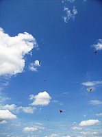 2008 KiteFestival-009.jpg